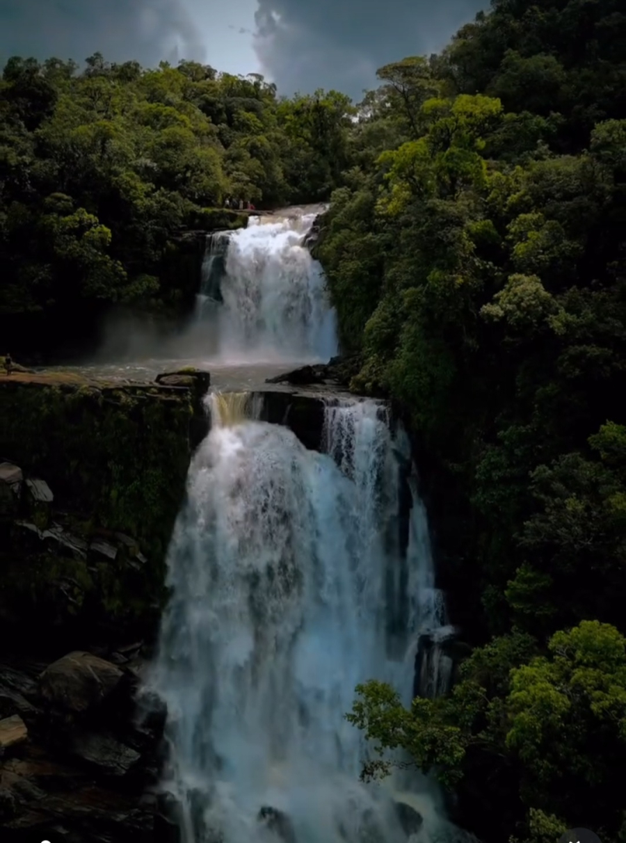Cachoeira do Bracui 