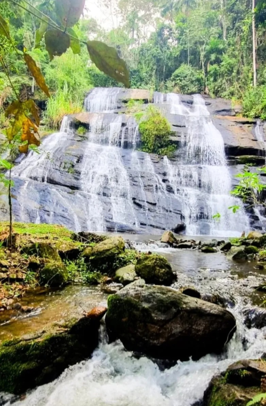 Cachoeira do Bracui 